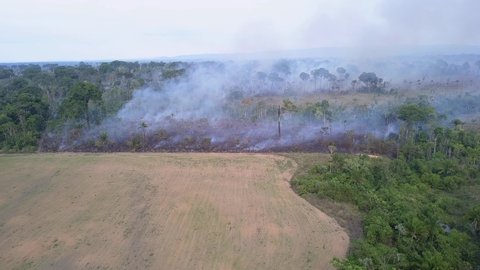 Drone aerial view of Amazon rainforest burning under smoke in sunny day in Para, Brazil. Concept of deforestation, fire, co2, environmental damage and crime in the largest rainforest on the planet.