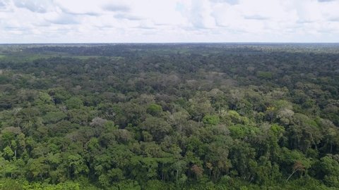 Beautiful  drone aerial view of jungle tree tops Amazon primary rainforest on summer sunny day.  Concept of conservation, ecology, biodiversity, global warming, co2, environment and climate change.