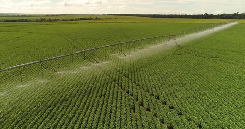 Agribusiness - Pivot irrigation used to water plants on a farm. Smooth movement, circular pivot irrigation with drone - agriculture