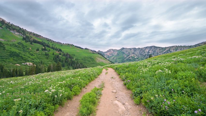 Mountain Hiking trail with flowers image - Free stock photo - Public ...
