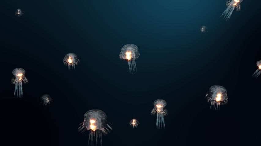 High-quality animation of jellyfish with a flickering body floating in the Deep Dark Ocean. The video is a . 4K Ultra HD video. 3d rendering | Shutterstock HD Video #1053757982