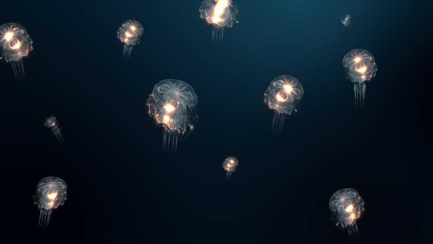 High-quality animation of jellyfish with a flickering body floating in the Deep Dark Ocean. The video is a . 4K Ultra HD video. 3d rendering | Shutterstock HD Video #1053757982