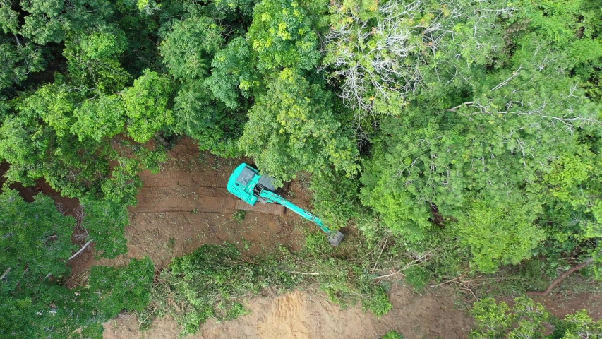 Deforestation. Logging. Excavator fells trees in rainforest to make way for oil palm plantations	 Royalty-Free Stock Footage #1053762995