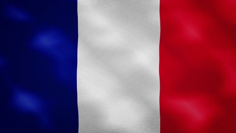 France dense flag fabric wavers, perfect loop for background