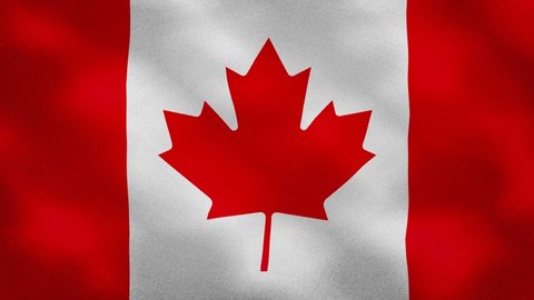 Canada dense flag fabric wavers, perfect loop for background