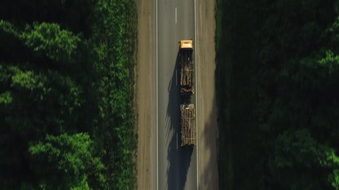 Double length log semi truck driving on straight highway. Freight truck haul timber production across asphalt road. Aerial drone top down follow mid shot at summer sunset