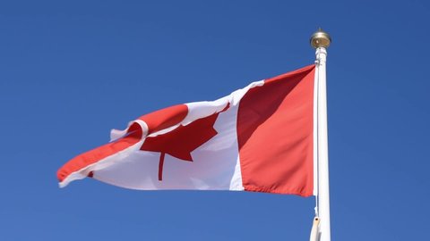 The National Flag of Canada also known as The Maple Leaf fluttering in the breeze.