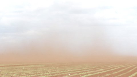 Climate change. Black Blizzard (dust devil, dust whirl) on agricultural lands. Loss of soil and crops. Everything is drowning in dense stream of dust. Dirt clogs the eyes, nostrils and ears