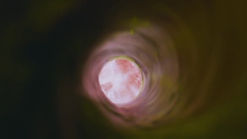 Beer is poured into a glass. View from inside the bottle