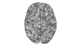 Human brain animation on white background - Powered by Shutterstock - Get 15% off with code: PIKWIZARD15