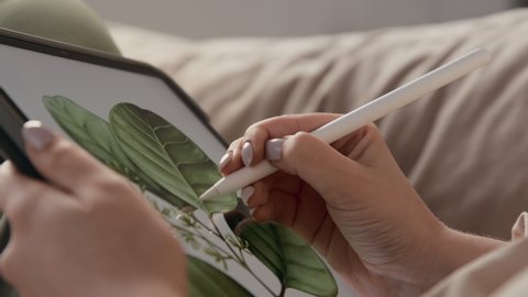 Artist sketching color image of plant leaves at screen of digital pad. Art of young woman drawing pretty foliage by stylus close-up. Girl freelancer painting at tablet computer indoors at comfort home