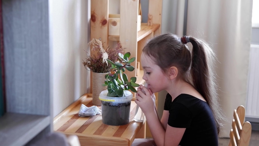 Small child girl holding watering can water house plant in pot. Small daughter helping mom. Young girl cares for flowers