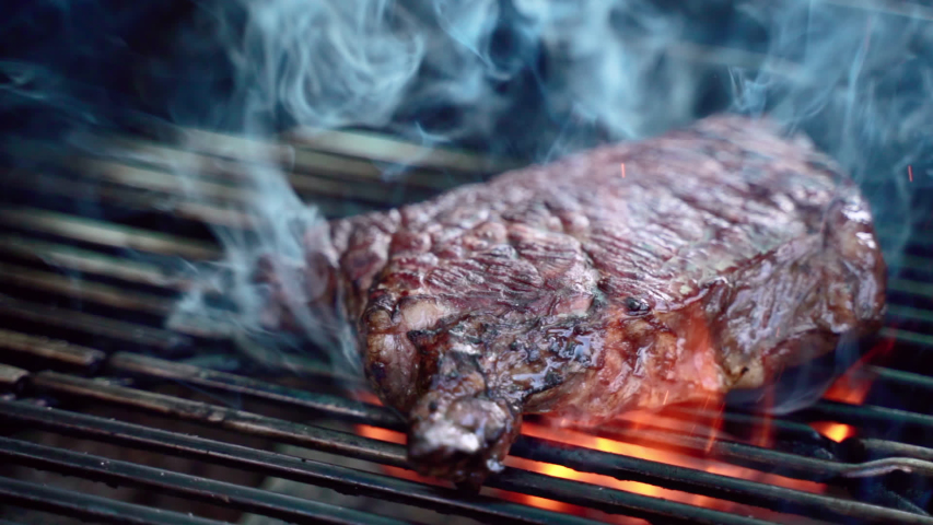 Roasting juicy meat steak with spices and herbs in burning charcoals fire on bbq grid, flames and smoke in slow motion. Juicy steak with grilling stripes ready for picnic celebration. Barbecue grill Royalty-Free Stock Footage #1053783965