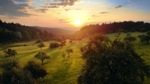 Flying backwards over a beautiful meadow landscape at sunrise, with a forest on the horizon, colorful morning sky, the sun and trees with long shadows
