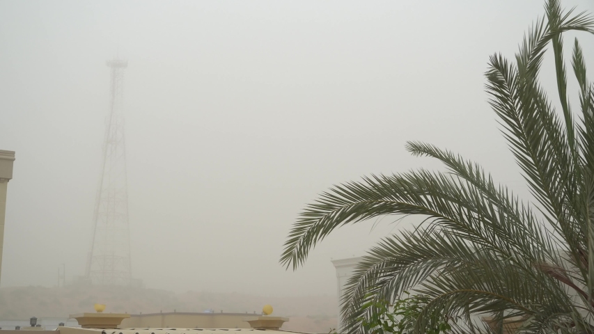 Palm Trees blowing in a Dust storm in the Middle East in a  rural area in the United Arab Emirates.  Royalty-Free Stock Footage #1053793268