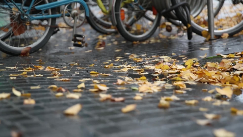 Janitor is cleaning the fallen leaves in the park near bicycles in Slow Motion
