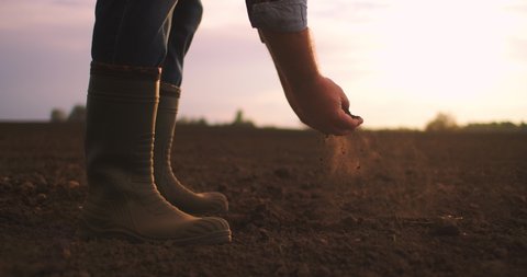 An elderly farmer in boots takes up land with his hands at sunset in slow motion