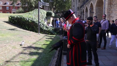 London, United Kingdom - 09 13 2019: A Beefeater is feeding a raven at the Tower of London