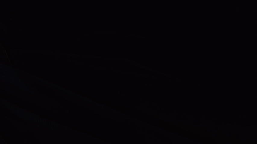 Extreme Close-up of Blue Morpho Butterfly wing. Rainforest, global warming and ecological fragility concepts. Macro of Vibrant insects. Red Gemini. Pls interpret footage if using different frame rate.