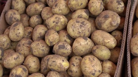 a pile of fresh organic potatoes