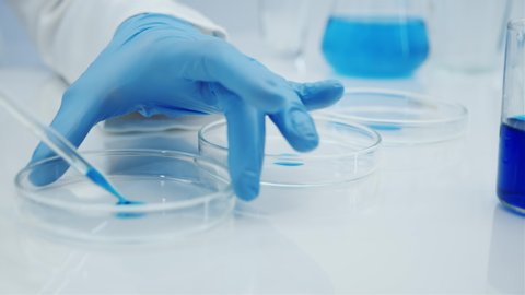 Hands in blue gloves. Glass petri dishes with a blue liquid.  Glass laboratory dropper. Laboratory about research. Manufacture of cosmetics and perfumes.