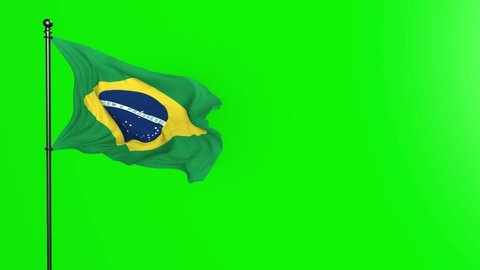Bandeira Do Brasil Vetor Stock Video Footage 4k And Hd Video Clips Shutterstock