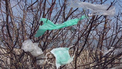 Face masks and plastic debris on branches of trees. Coronavirus (COVID 19) is contributing to pollution, as discarded face masks clutter parks of the city along with plastic trash. Movement backward