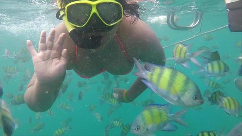 Koh Tao, Thailand - September 12, 2017: A lady snorkelling with thousands of fish in the oceans of Koh Tao, Thailand