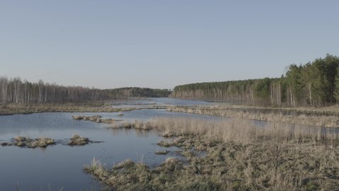 D-Log. Russia, the Urals. Flying low over the water, spring pond with birds. Sunset time, Aerial View