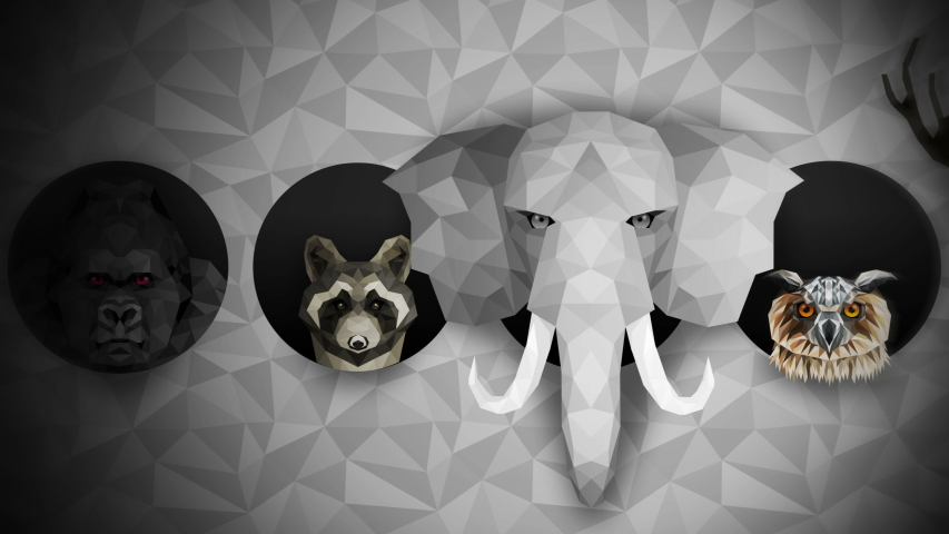 Collection of different animals. Zoo symbol. Low polygon icons. Lion, Gorilla, Zebra, Raccoon, Fox, Elephant, Deer, Owl. Geometric loop animation set.