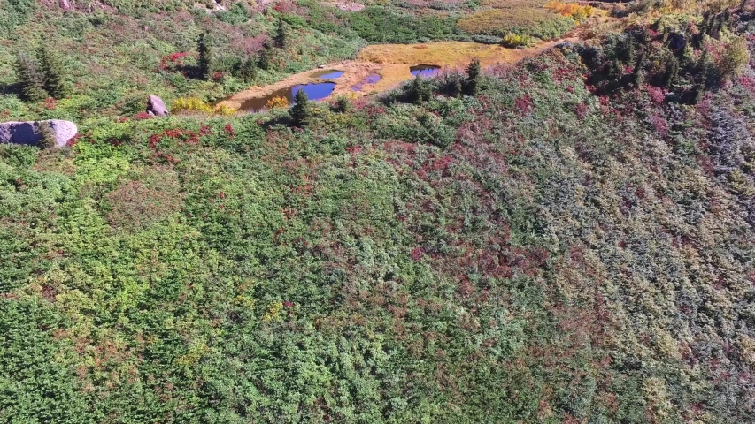 Little Ponds At The Top Of The Mountain Ridge