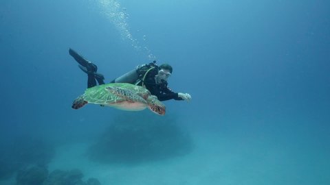 Female Scuba Divers swimming with Green Sea Turtle. Coral Reef and crystal blue water. Shot full frame on a Sony A7III on the Great Barrier Reef. (Scuba Diving)