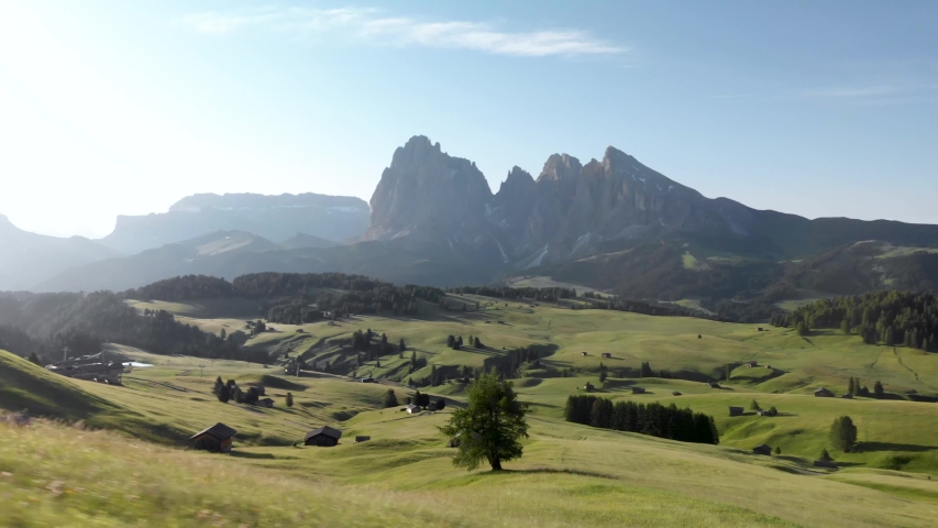 Panoramic shot drone circle around tree at Alpe di Suisi alpine meadow in Dolomites mountains Italy. Sunrise morning light landcape scenary at idyllic Seiser Alm valley in South Tyrol