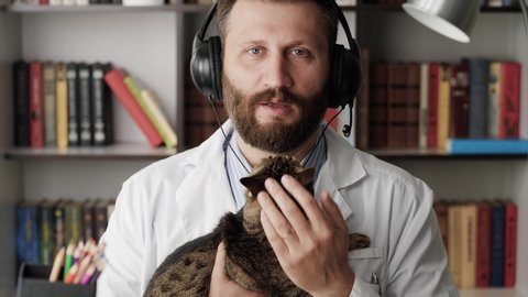 Doctor vet talking to camera. Attractive bearded doctor vet in white coat holds cat in his hands and explains something while looking at camera