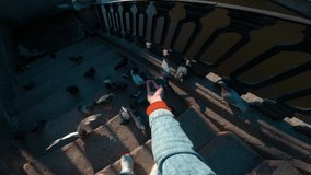 Feeding pigeons by a man with hands in the city by the river. A flock of birds feed on seeds, a first-person video on the street.