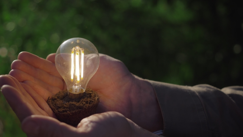 idea solar energy in nature, hand holding light bulb. Eco energy saving, alternative solar energy, renewable resources, electricity. hand holding light bulb. innovation and inspiration