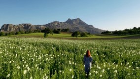 woman with red hair in the poppy field and mountain view