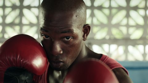 Extreme combat sports and people, young black man training in boxing gym. African american athlete exercising, fighting on ring. Professional pugilist punching, looking at camera. Close-up of face