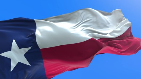 Texas - United States of America State - USA - 3D realistic waving flag background