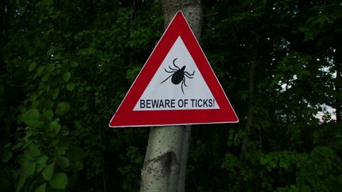 Beware of ticks warning sign on the tree
