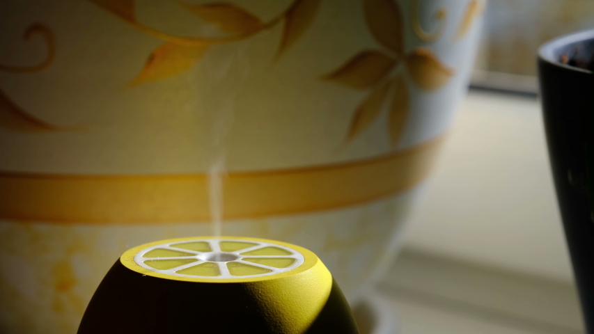 Aroma oil diffuser on the windowsill next to the flower pots at home, steam from the air humidifier; increase in air humidity indoors, comfortable living conditions, moisture Royalty-Free Stock Footage #1053998672