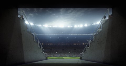 An entrance of a professional soccer stadium at night. The stadium was made in 3d without using existing references.