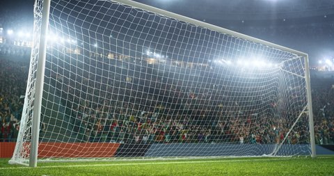 An empty goal on a professional soccer stadium made in 3d with animated crowd.