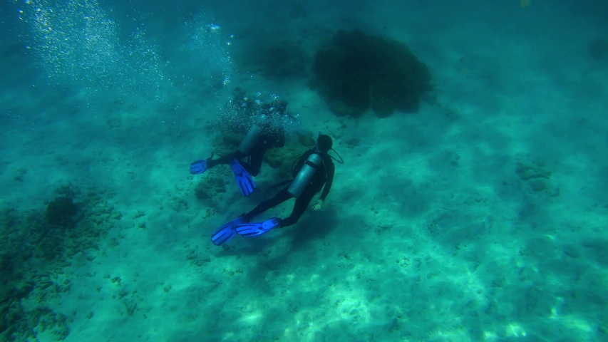 Mooring multicolored corals in blue water with floating divers