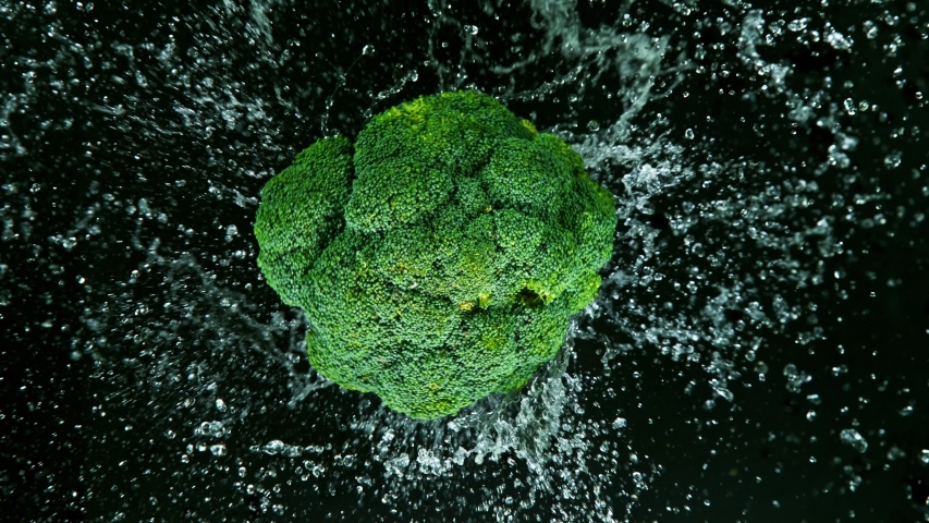 Rotating fresh broccoli with water drops, super slow motion, isolated on black background | Shutterstock HD Video #1054025411