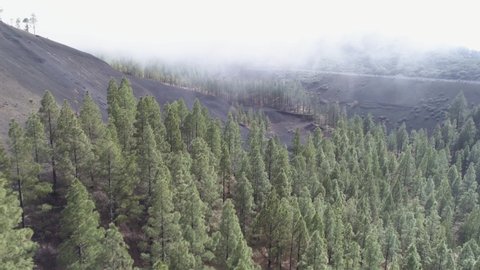 Areal shot of El montanon negro (montañón negro) volcano with pine trees in Gran Canaria, by Galdar, Canary Islands. Volcano.