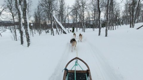 A Dog Sledding Team Exploring a Snowy Landscape in Norway, Point of View Action Cam