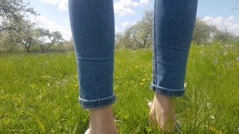 Close-up of a woman's legs in sneakers walking along a field or meadow in the countryside.