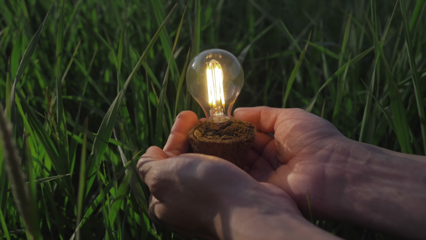 idea solar energy in nature, hand holding light bulb. Eco energy saving, alternative solar energy, renewable resources, electricity. hand holding light bulb. innovation and inspiration