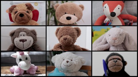 video of a group of teddy bear soft toys in online virtual remote business meeting